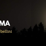 opera-inside-Norma-Vincenzo_Bellini-Synopsis_Handlung_Trama_résumé-Casta_diva-Aria