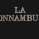 Bellini, La Sonnambula, Handlung, Synopsis