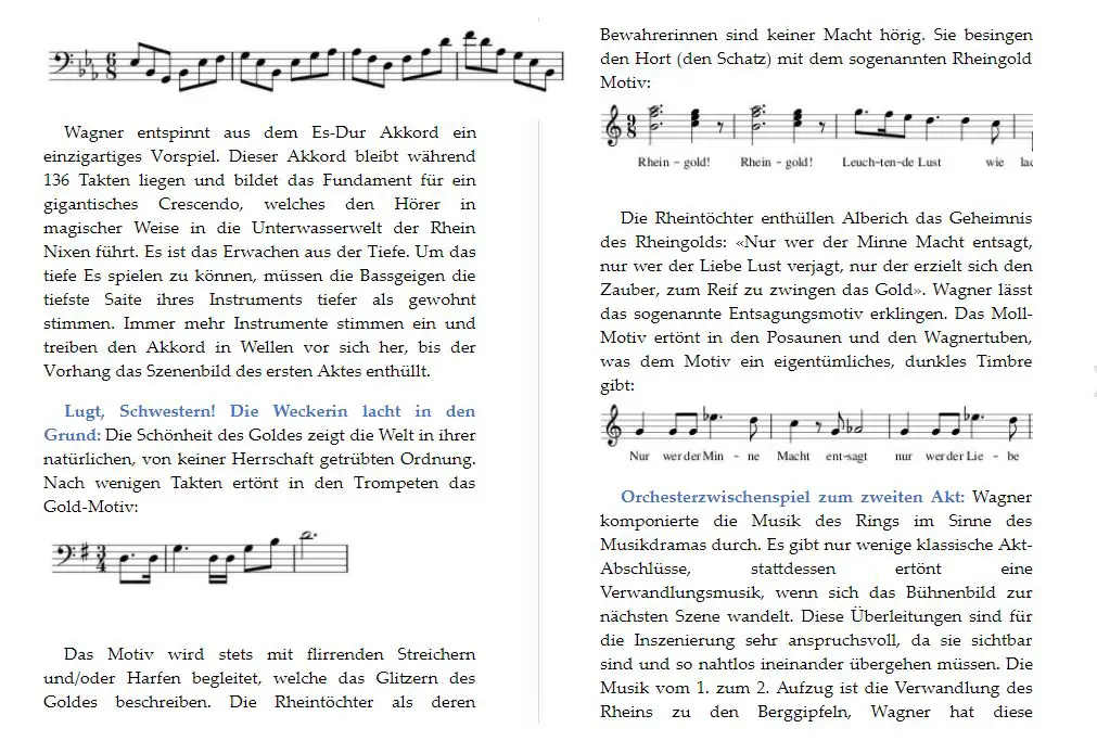 Wagner-Ring_des_Nibelungen_Rhein_gold-Die_Walküre-Siegfried-Götterdämmerung-Opernführer-Ring-Tetralogie-E_BOOK (Bild3)