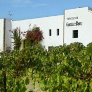 The producer Gonzalez Byass in Jerez