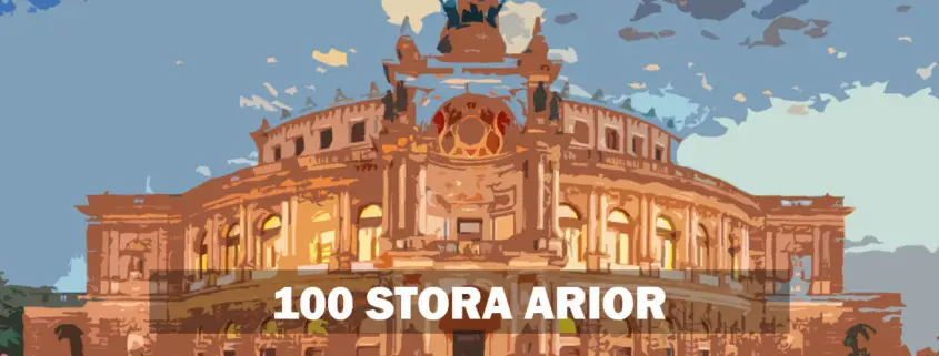 100 STORA ARIOR Operaguide