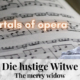Die_lustige_Witwe_the_merry_widow_lehar_3_immortal_pieces_of_opera_music_Hits_Best_of